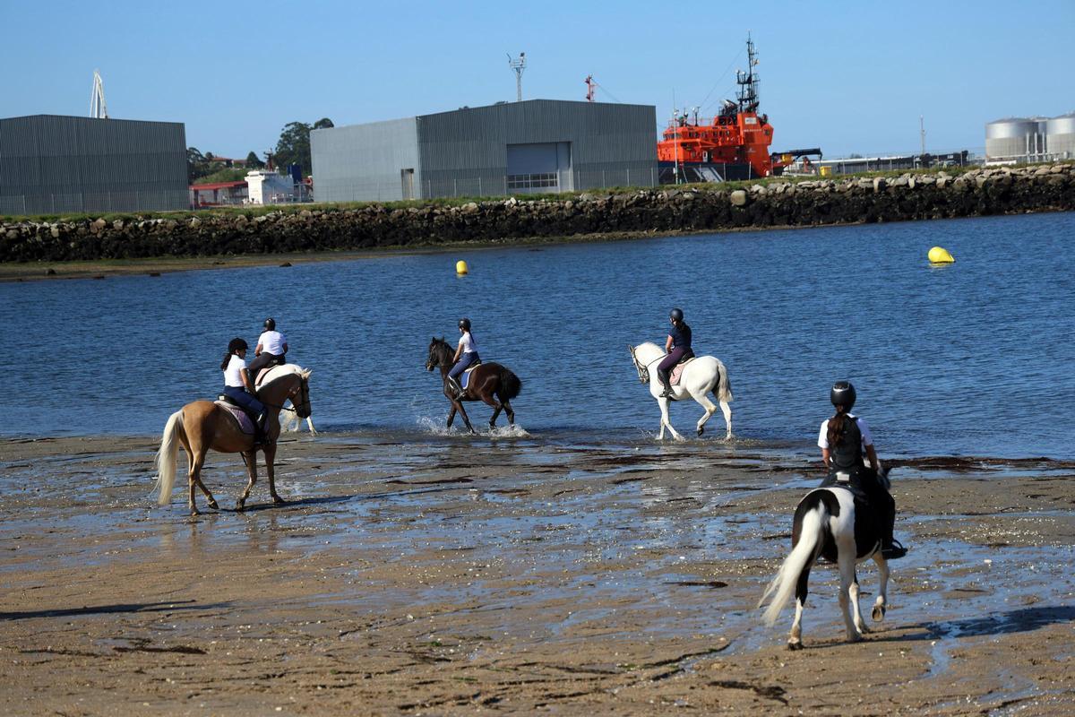 Un paseo con caballos en la playa de A Concha-Compostela, en abril de 2025.