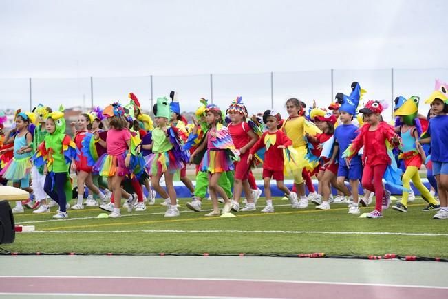 Inauguración de la XLI Olimpiada del Colegio ...