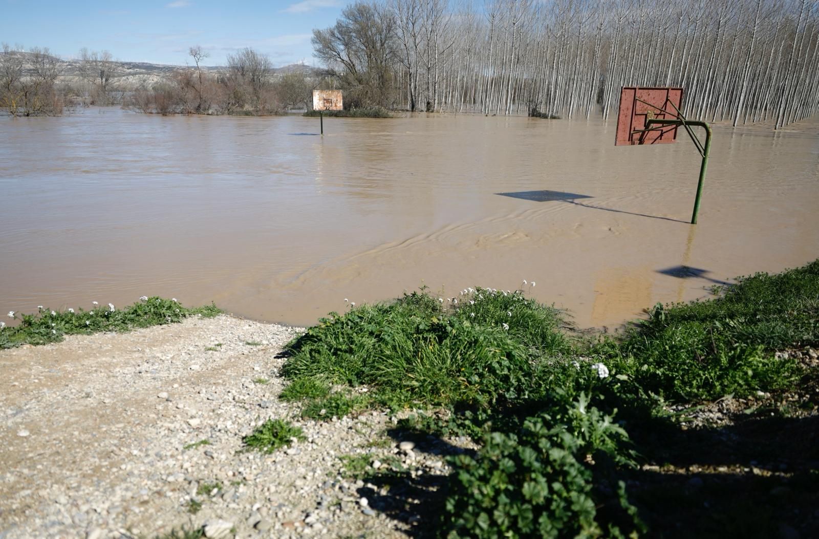 En imágenes | Así transcurre la crecida del Ebro a su paso por Aragón