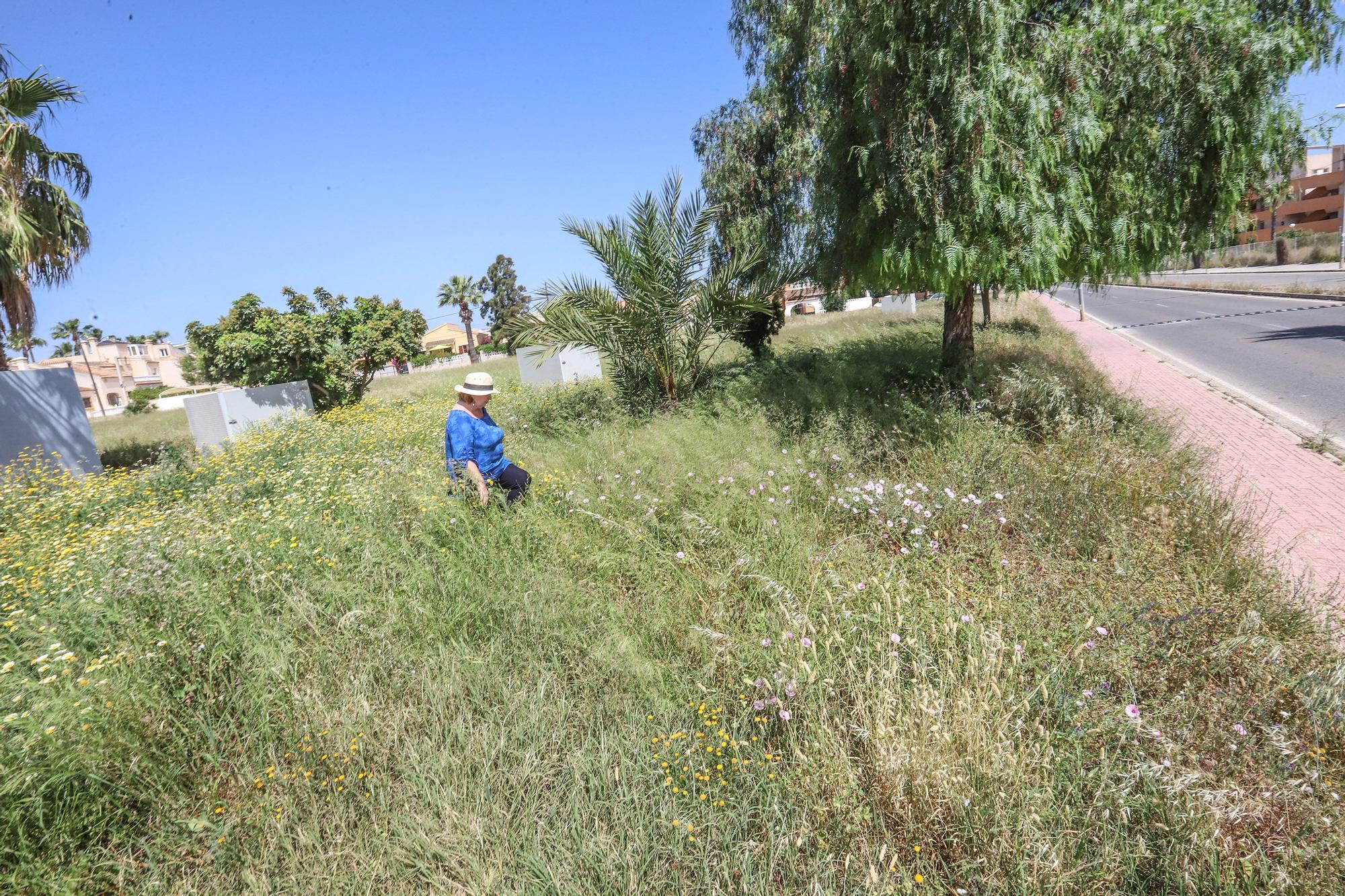 Parques en Orihuela Costa con deficiencias en el mantenimiento