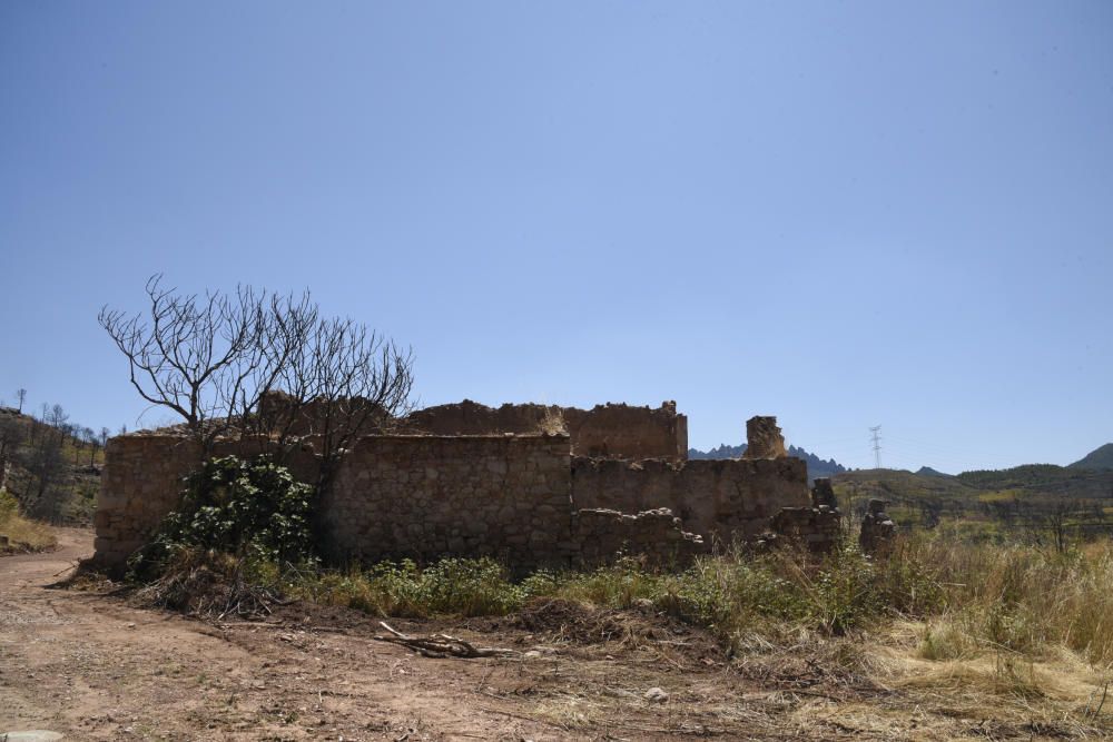 La zona afectada pel foc d'Òdena, un any després