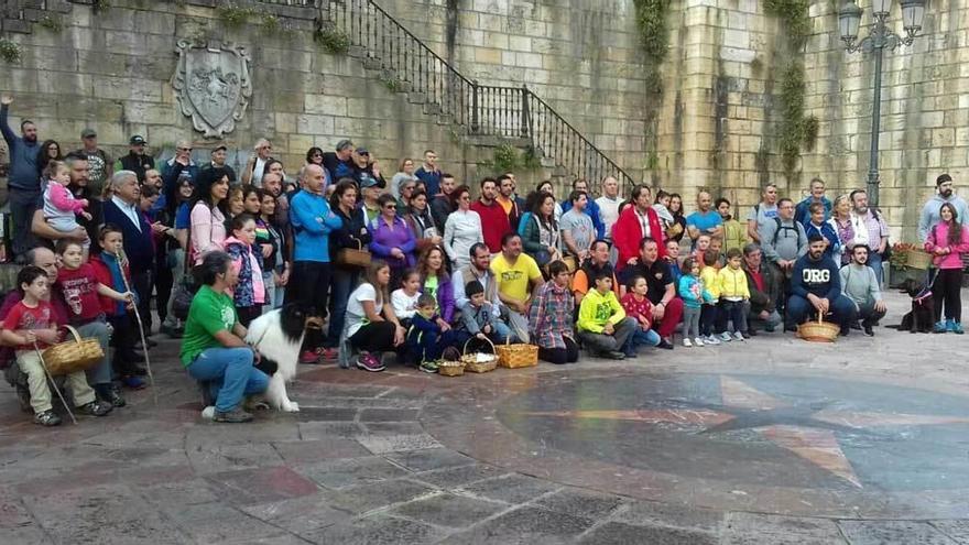 Los participantes en la salida popular de la Asociación Piloñesa de Micología para recolectar setas, en Infiesto.