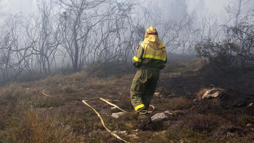 Un agente forestal.