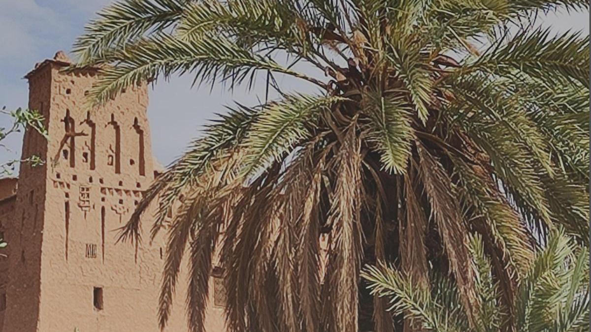 AGENDA CULTUERAL Y OCIO CÓRDOBA