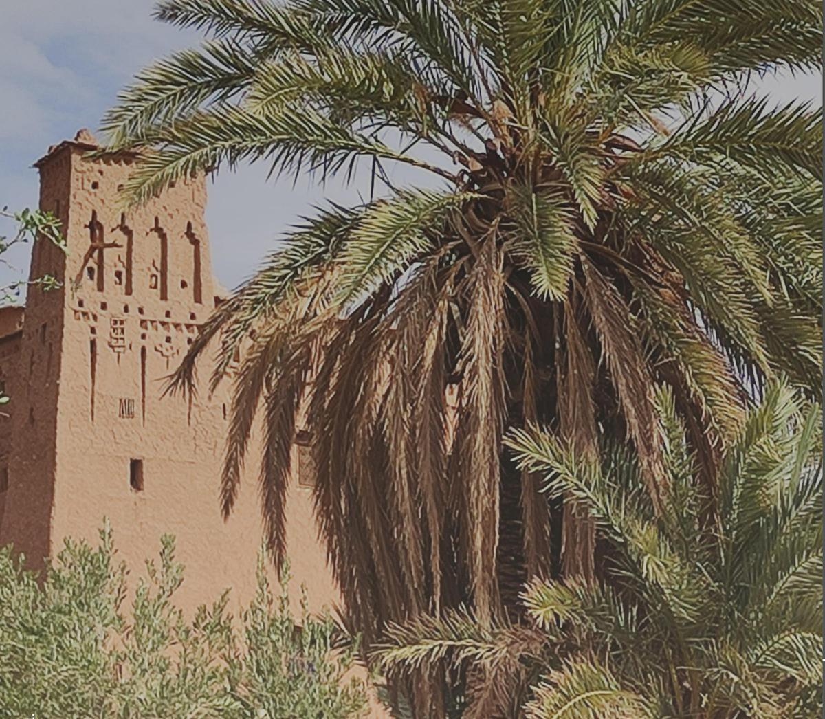 ‘Entre el Mágreb y el Sahel: áfrica transahariana, de ida y vuelta’