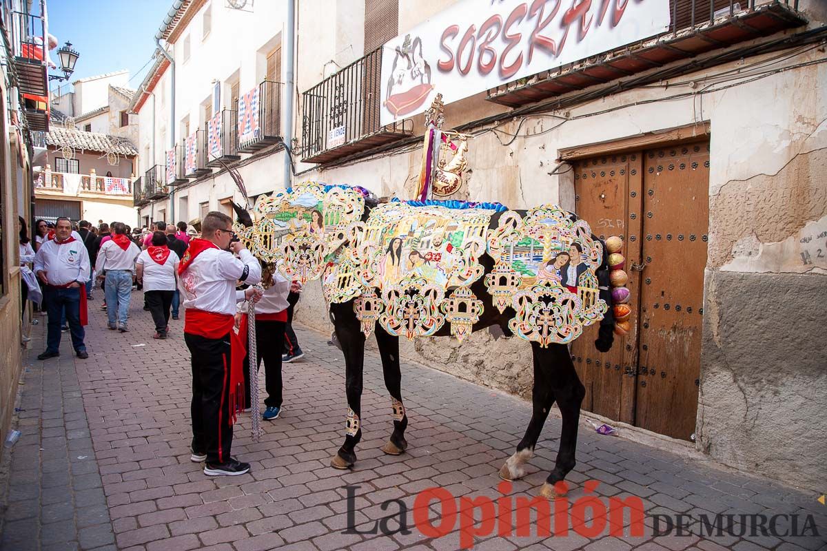 Recorrido Caballos del Vino día dos de mayo en Caravaca