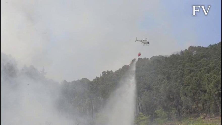 Otras 20 hectáreas arrasadas por el fuego en Cenlle