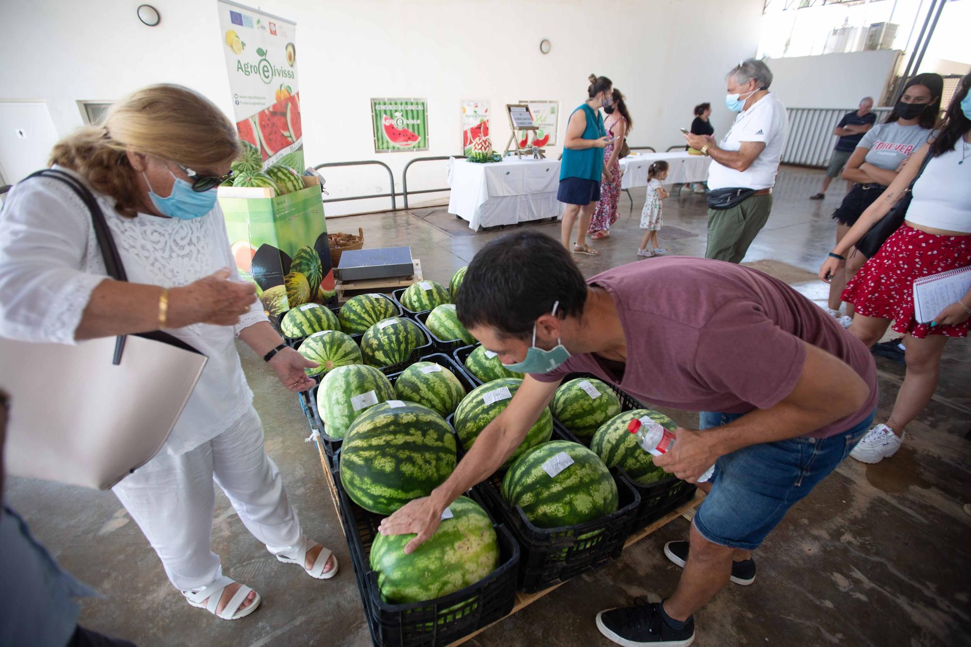 La ‘sandía más grande del mundo’ pesa 20 kilos y es de es Canar