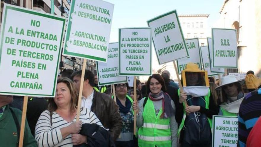 Cabecera de la manifestación, en la que participaron dirigentes alicantinos.