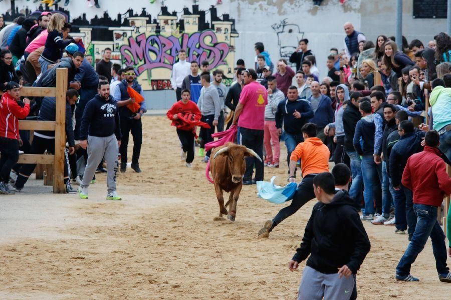 Encierros en Morales del Vino