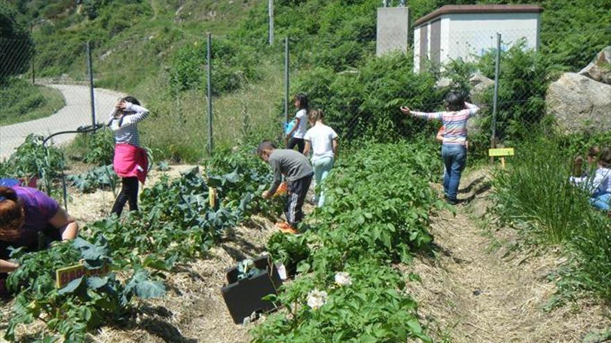 Premio al colegio Amando Barbosa por el proyecto de huerto ecológico