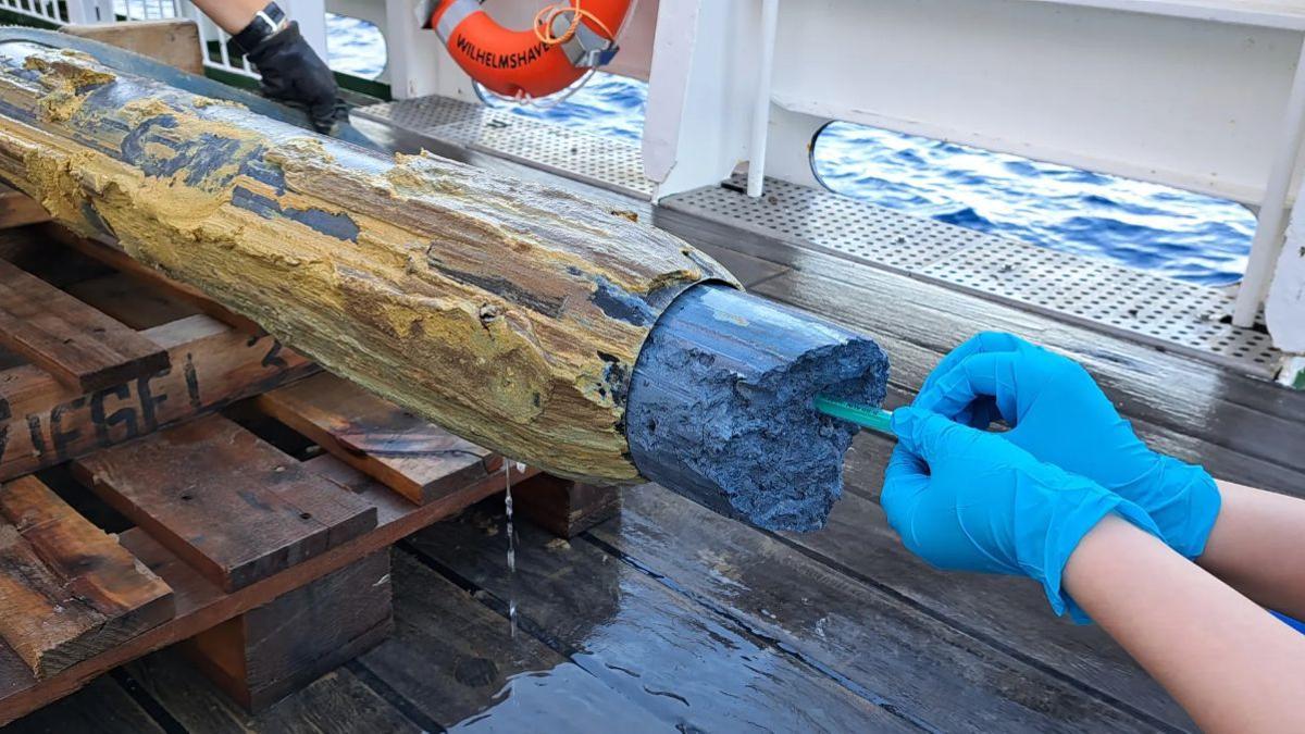 Lodo serpentinítico azul procedente de un volcán recién descubierto en un núcleo gravitacional. Los científicos han estudiado las muestras para desvelar las estrategias de supervivencia de los microorganismos.