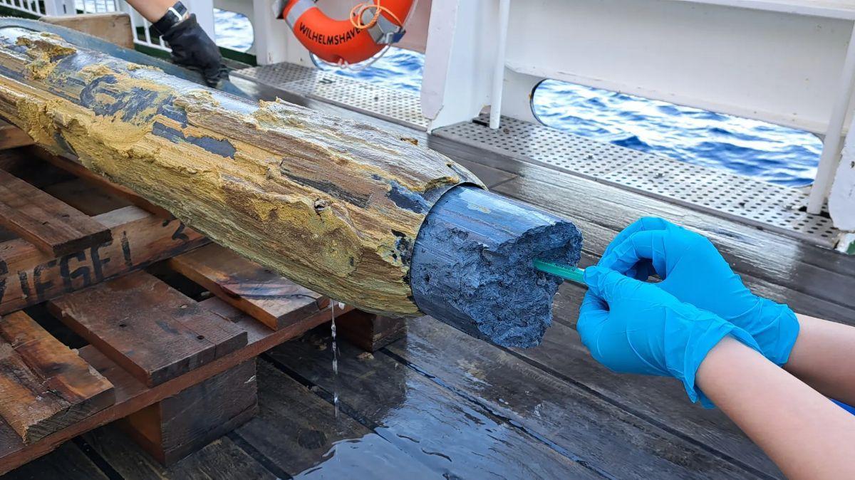 Lodo serpentinítico azul procedente de un volcán recién descubierto en un núcleo gravitacional. Los científicos han estudiado las muestras para desvelar las estrategias de supervivencia de los microorganismos.