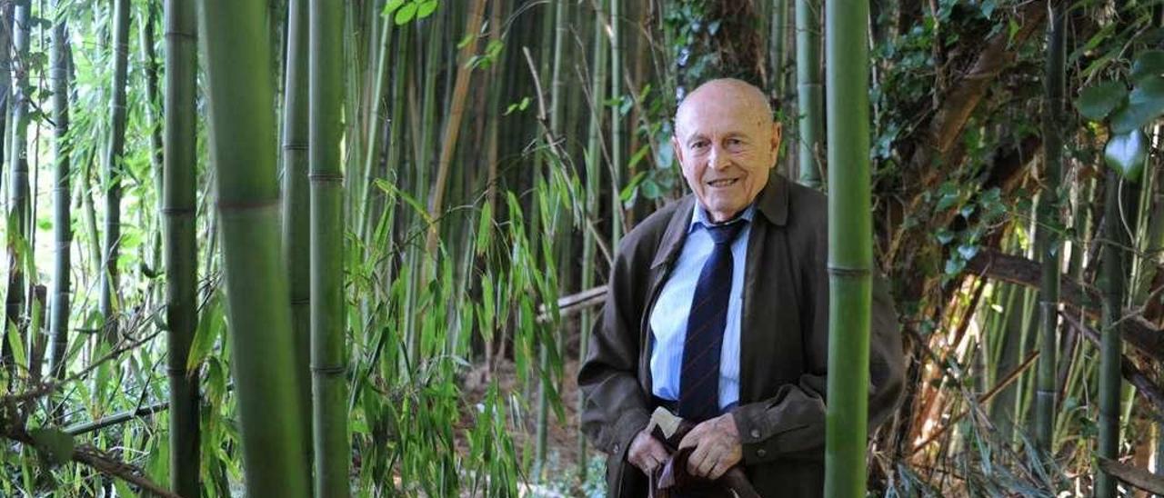 José Luis Llera, en el interior del bosque de bambú de Sebrayu.