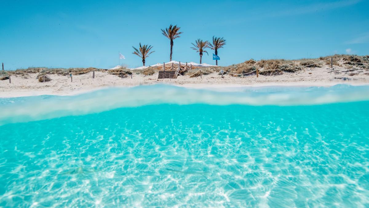 Las cuatro palmeras de Juan y Andrea identifican al restaurante desde el mar de Formentera