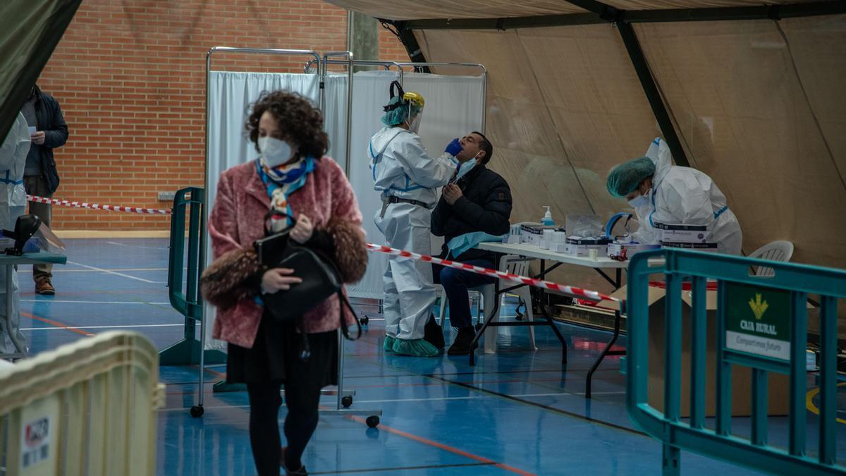 GALERÍA | El cribado de Santa Elena en la Ciudad Deportiva de Zamora, en imágenes