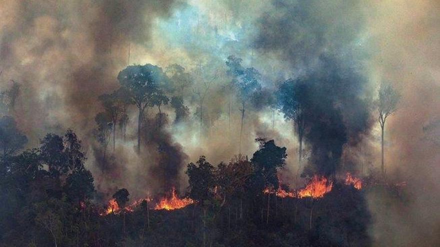 Brasil: detenidos integrantes de varias oenegés por causar incendios en la Amazonía