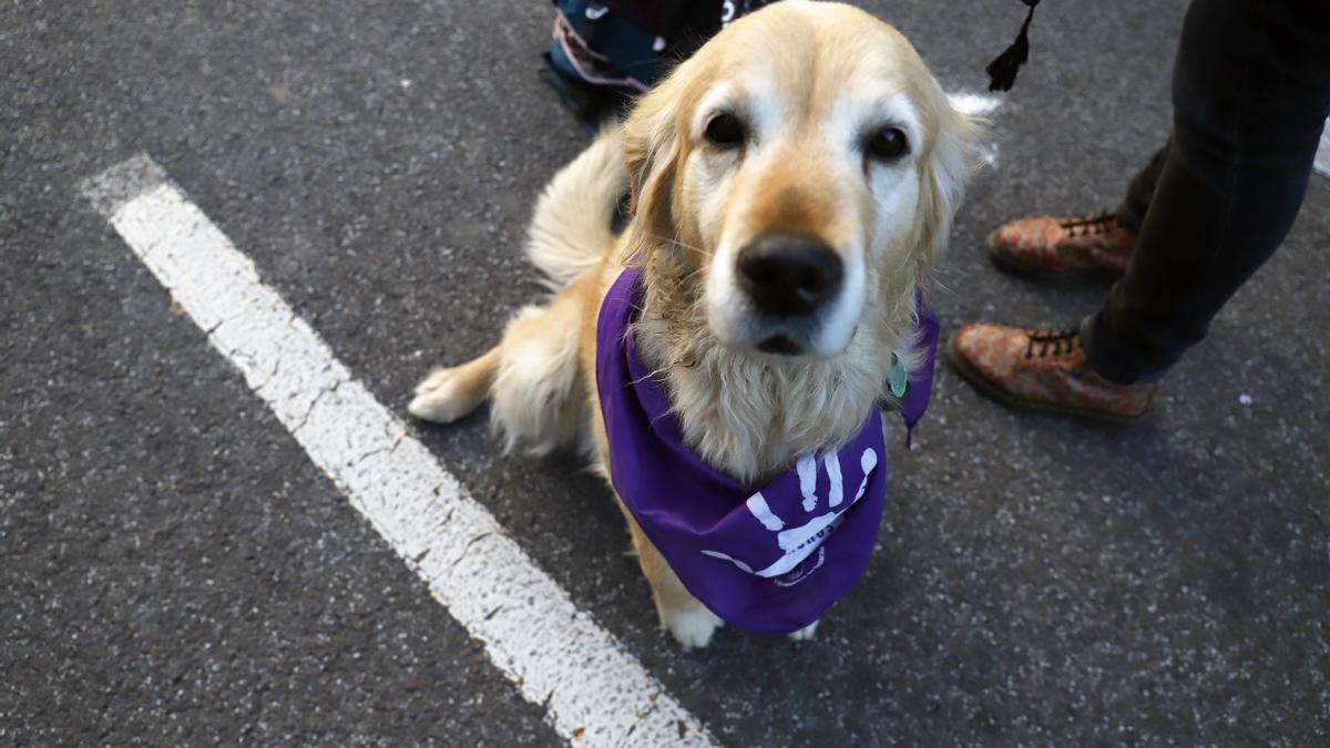 Baile feminista por el 8M en el Paseo del Parque de Málaga