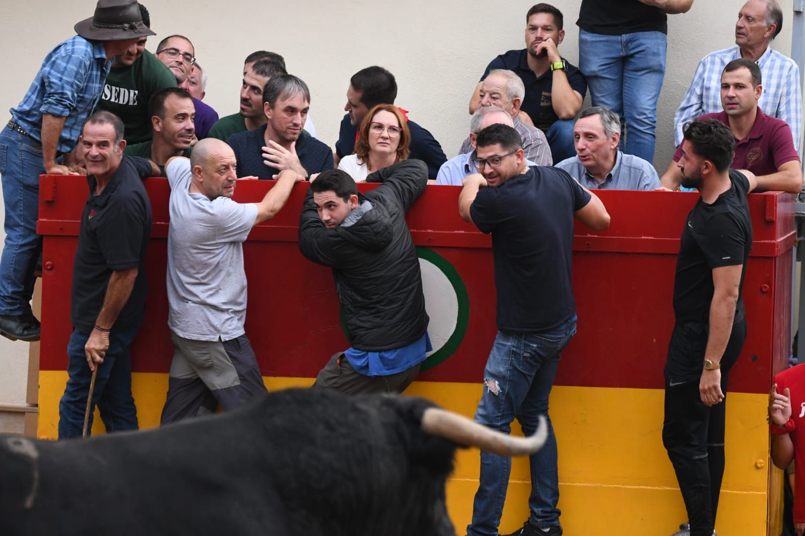 Exhibición de cuatro toros de Partida Resina en Onda