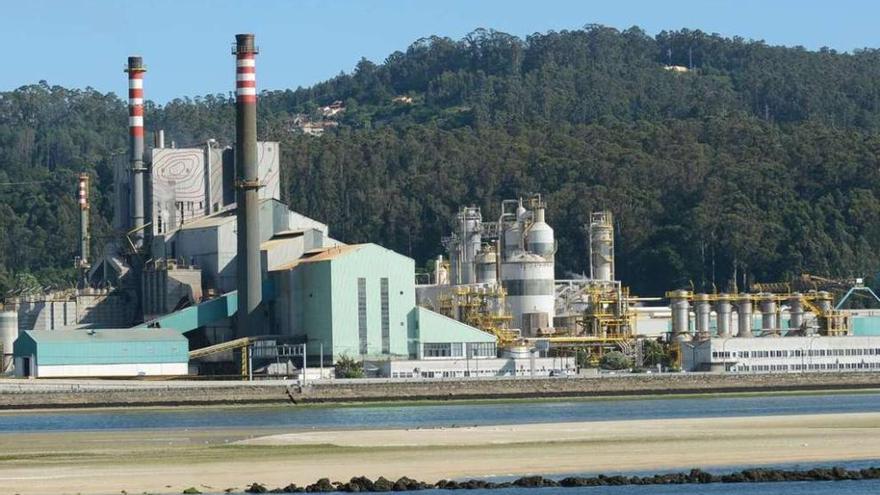 Una vista del complejo industrial de Lourizán.