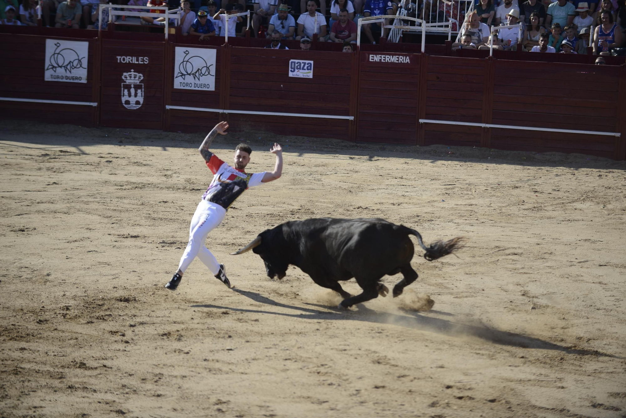 GALERÍA | Unos cuantos cortes de los arriesgados en Benavente