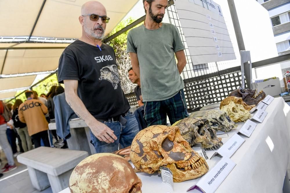 Talleres participativos 'Descubre tu vocación' en la Facultad de Geografía e Historia de la ULPGC