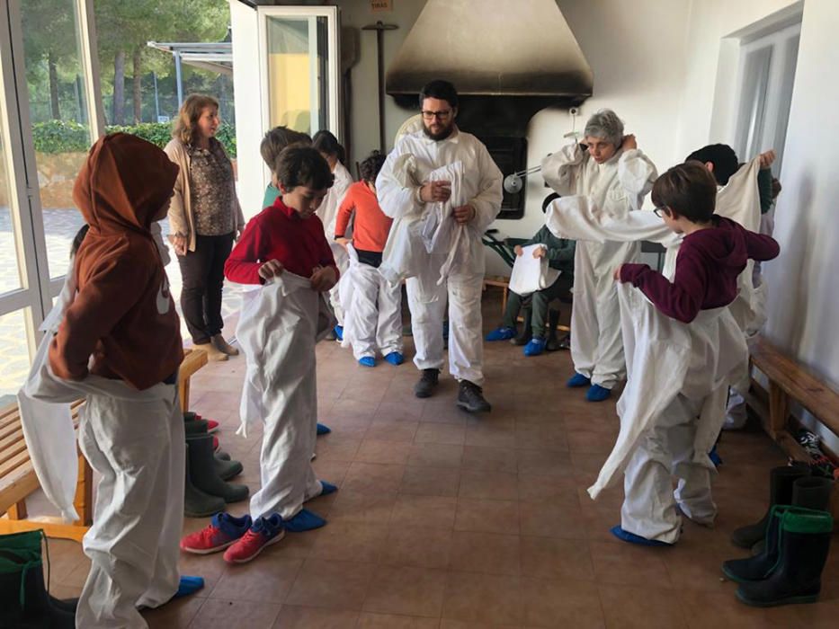 Niños apicultores en el Camp d'Aprenentatge de sa Cala