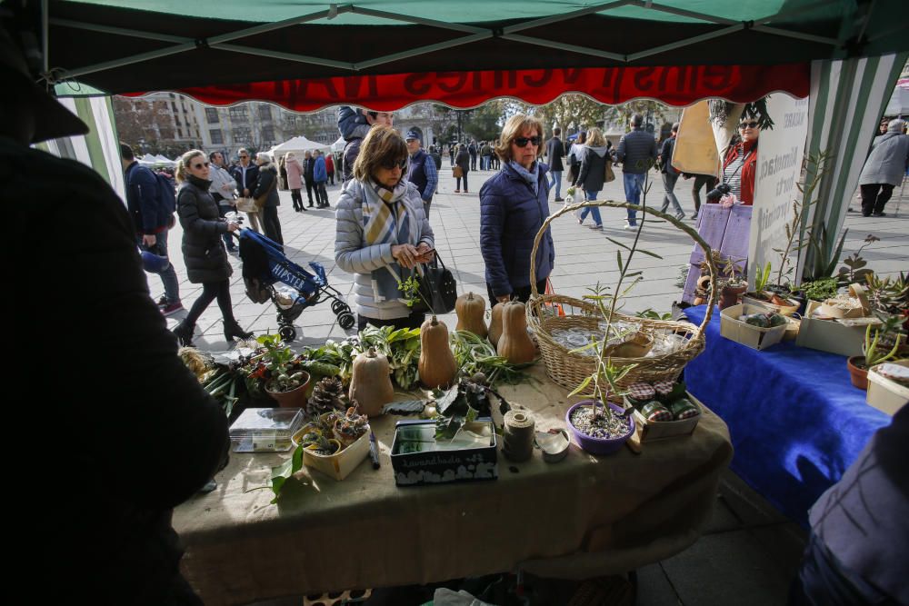 'De l'horta a la plaça' en la plaza del Ayuntamiento, de València