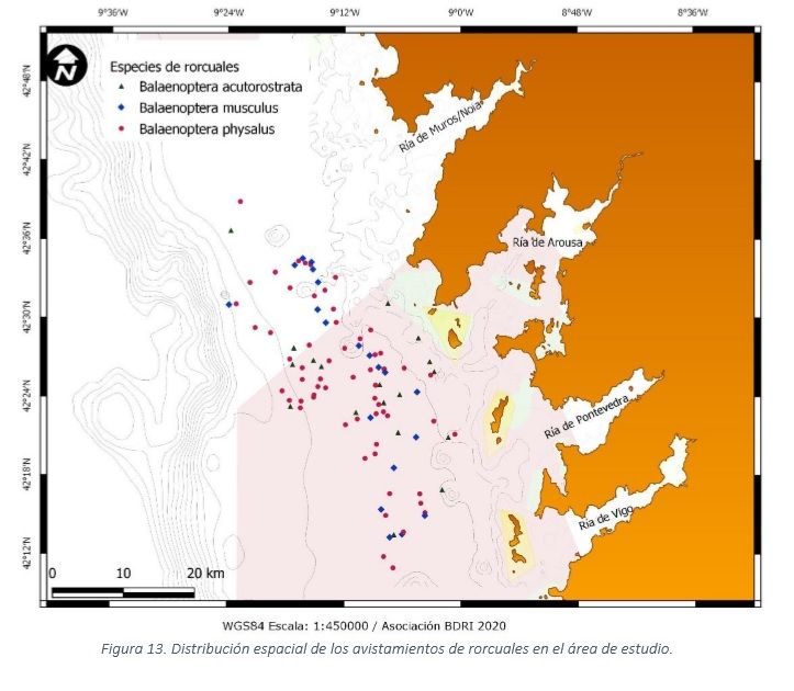 Distribución de los avistamientos.