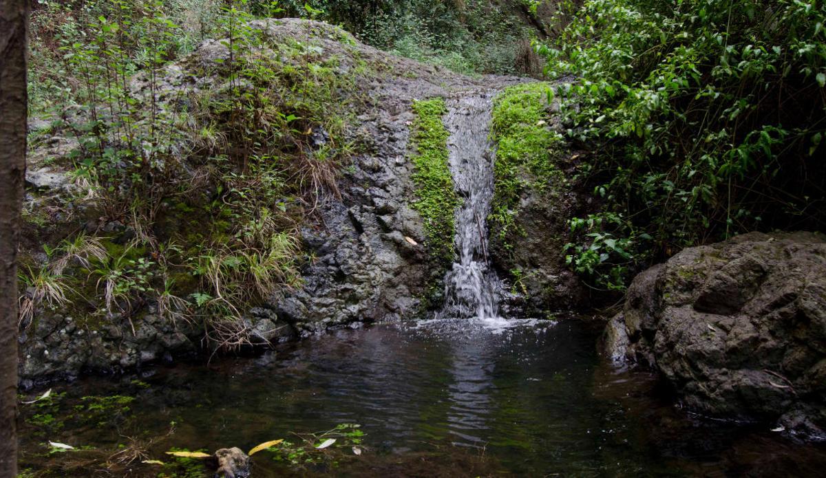 La Villa de Moya, naturalmente
