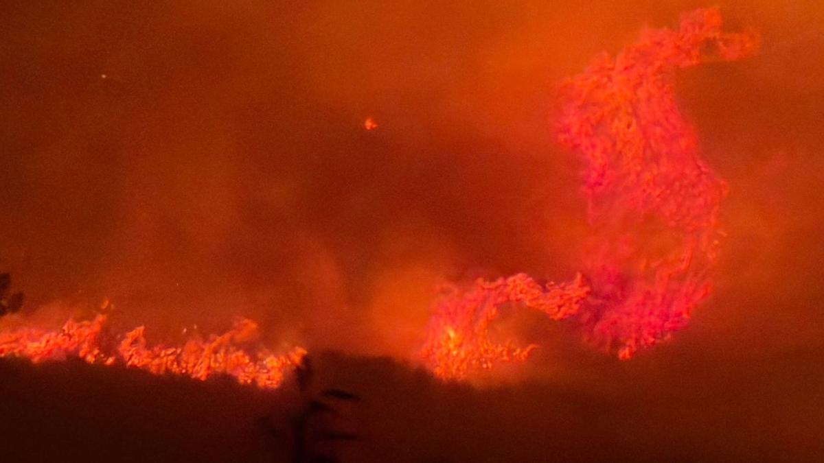 Los efectivos de bomberos han extinguido este miércoles el incendio forestal de la Serra d'en Galceran después de seis días activo.