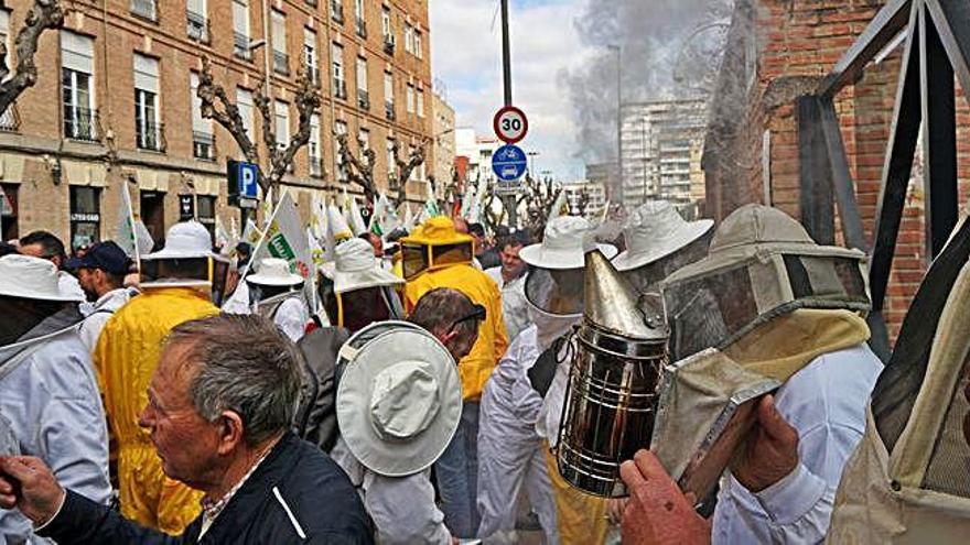 Apicultores de la Región protestaron en Murcia por la crisis del secto