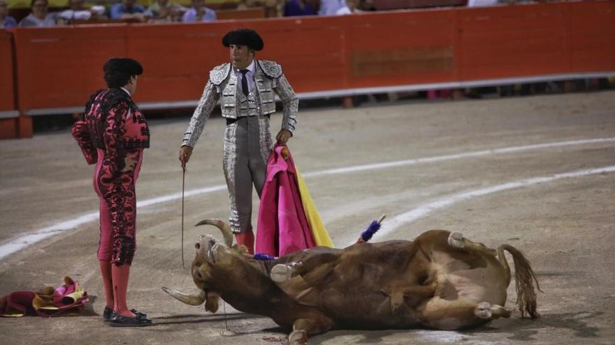 Madrid will Stierkampf-Verbot auf Mallorca kippen