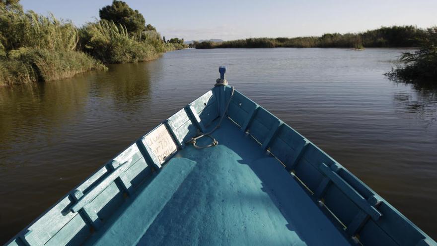 Parque Natural de la Albufera.