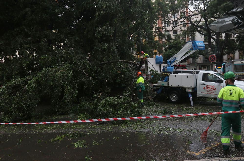 Incidencias de la borrasca Ana en Málaga capital