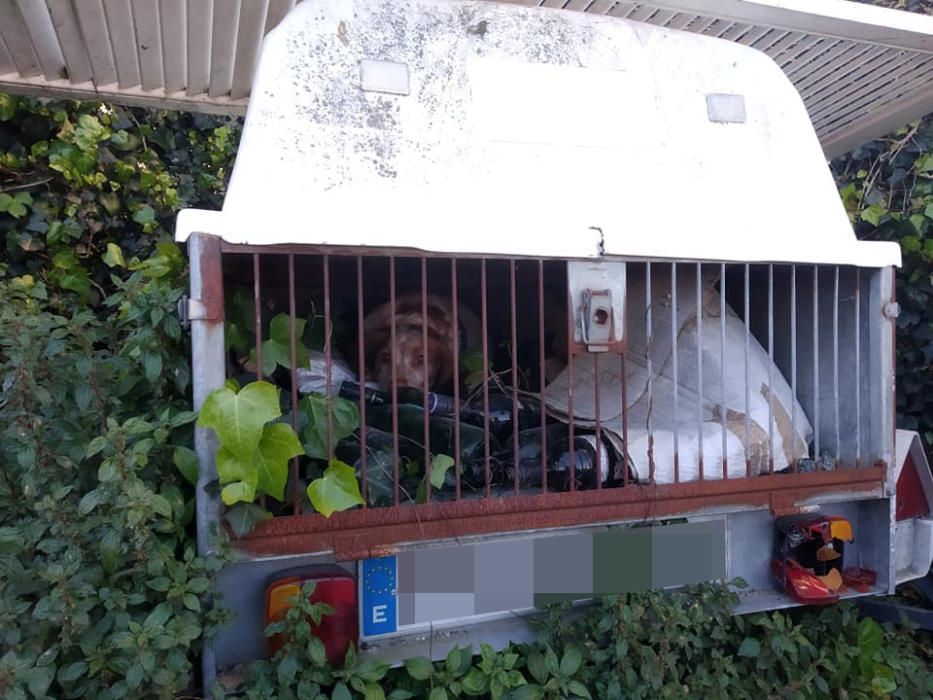 Un cocinero deja horas a su perro en un remolque con basura mientras trabajaba