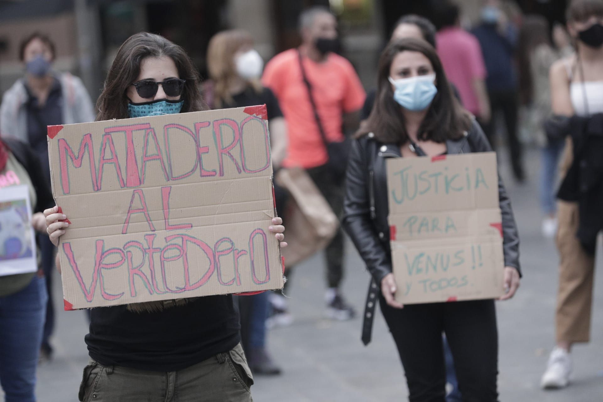 Manifestación por Venus, la perra pitbull que murió desangrada en Son Reus