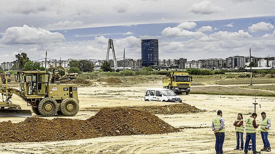 La Plataforma de Parque Ascensión denuncia el derribo de dos eucaliptos