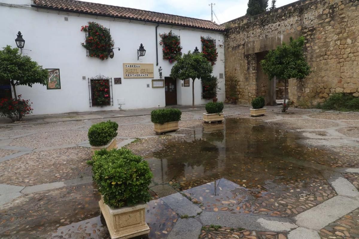 Paseo por el Alcázar Viejo durante la crisis del coronavirus