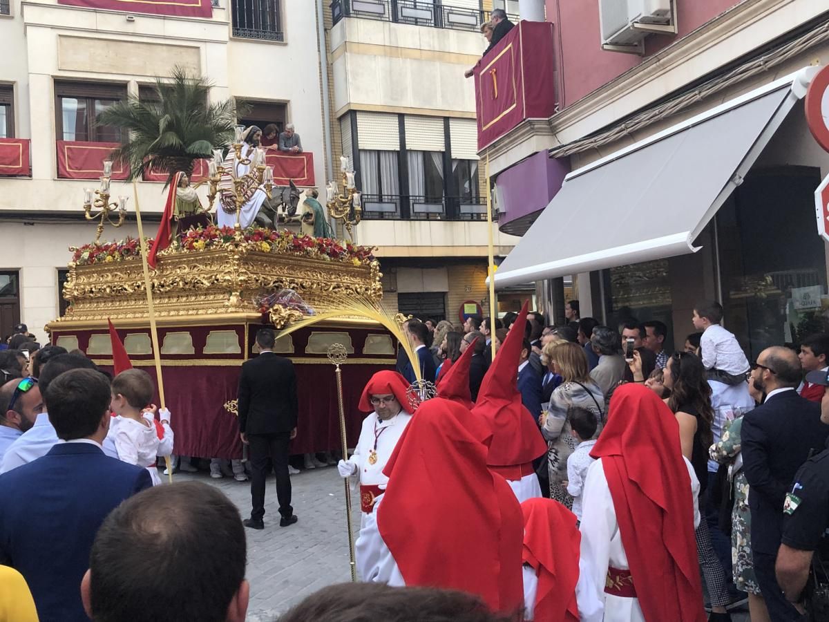 Domingo de Ramos en la provincia