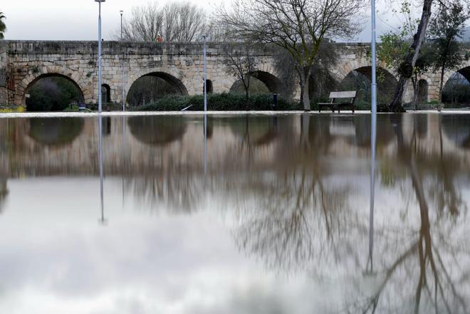 Fotogalería | Así se encuentra este viernes la isla de Mérida tras la subida que ha experimentado el caudal del Guadiana