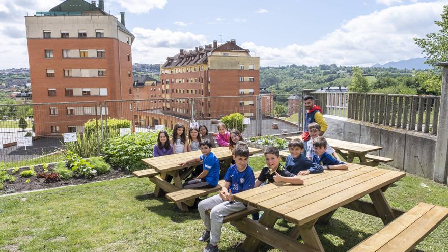 El colegio de Oviedo que ya come de lo que cultiva