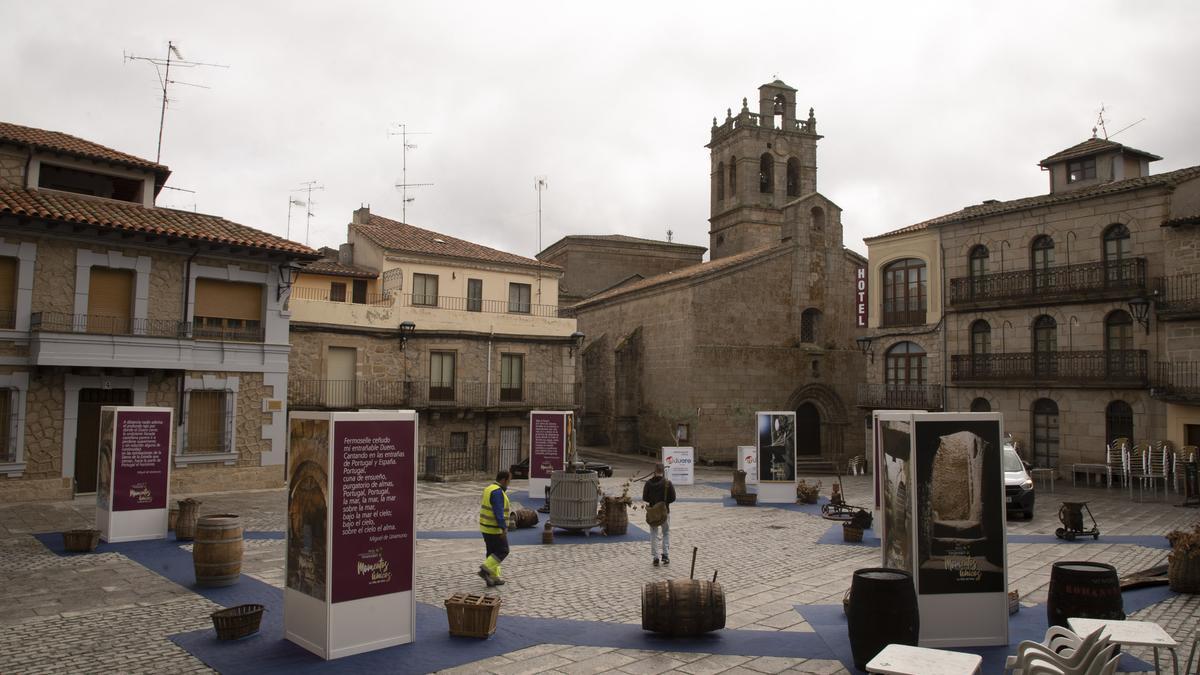 Fermoselle.