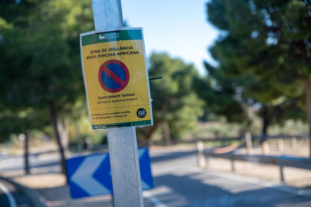 La UME se despliega para contener el brote de peste porcina