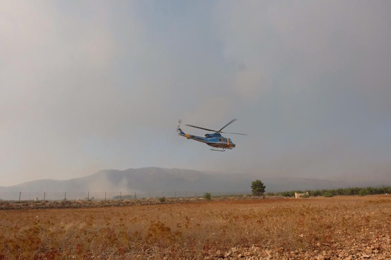 Declarado un incendio en una zona de barranco de Beneixama