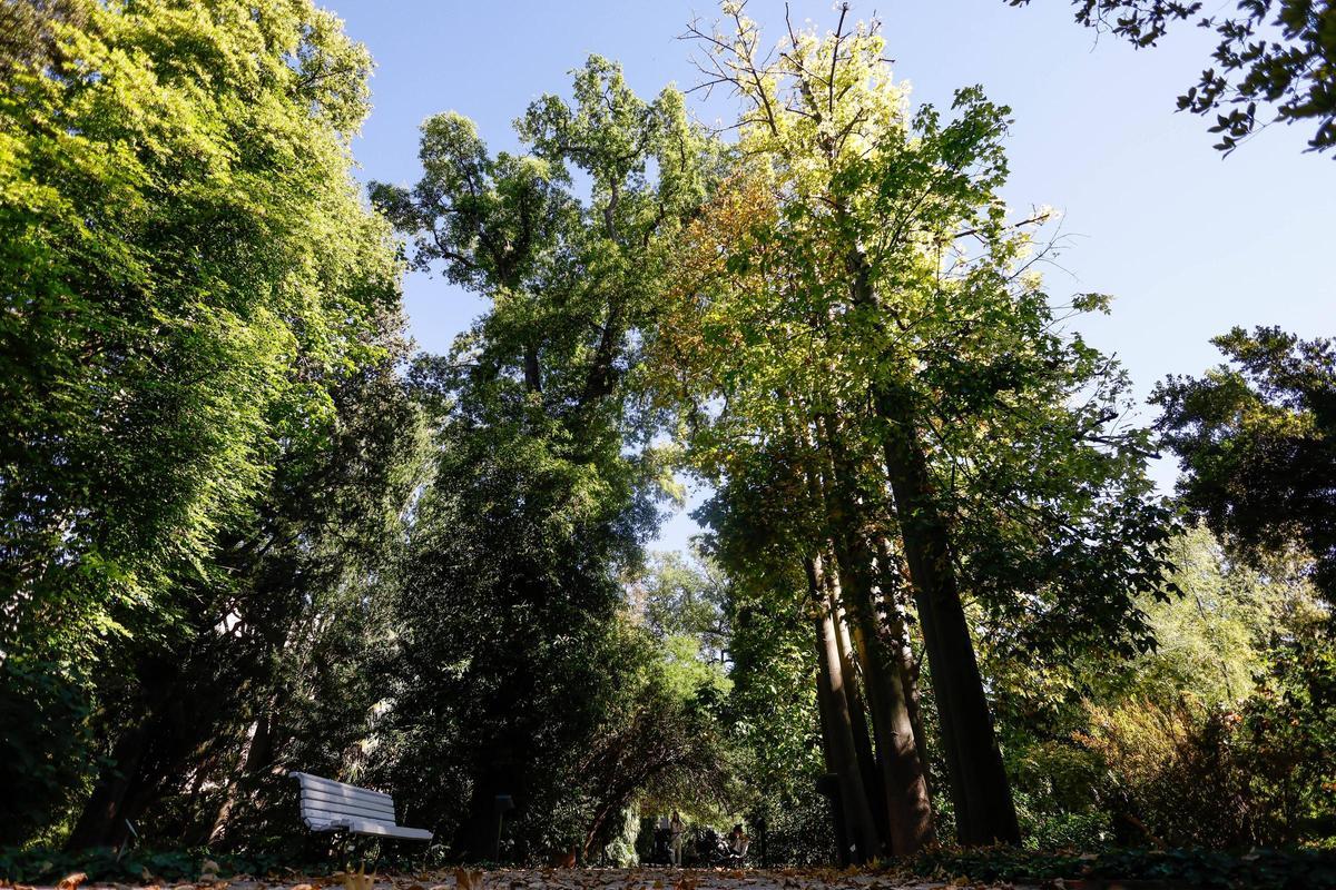 El Jardín Botánico de València está de moda