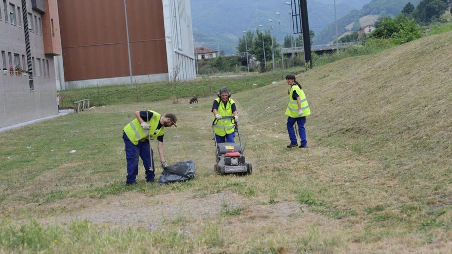 Alumnos de un taller de jardinería de Fucomi. | LNE