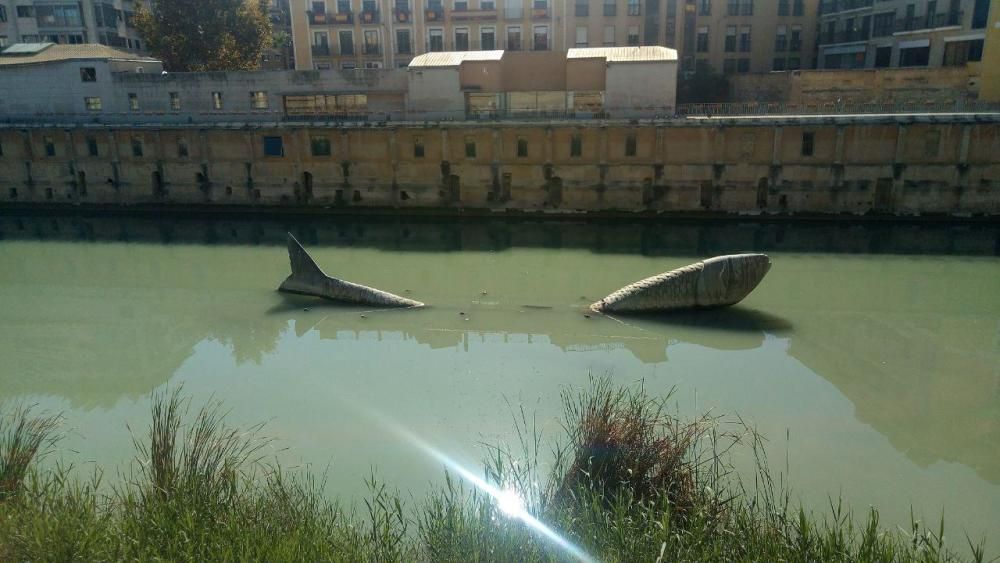 El río Segura a su paso por Murcia