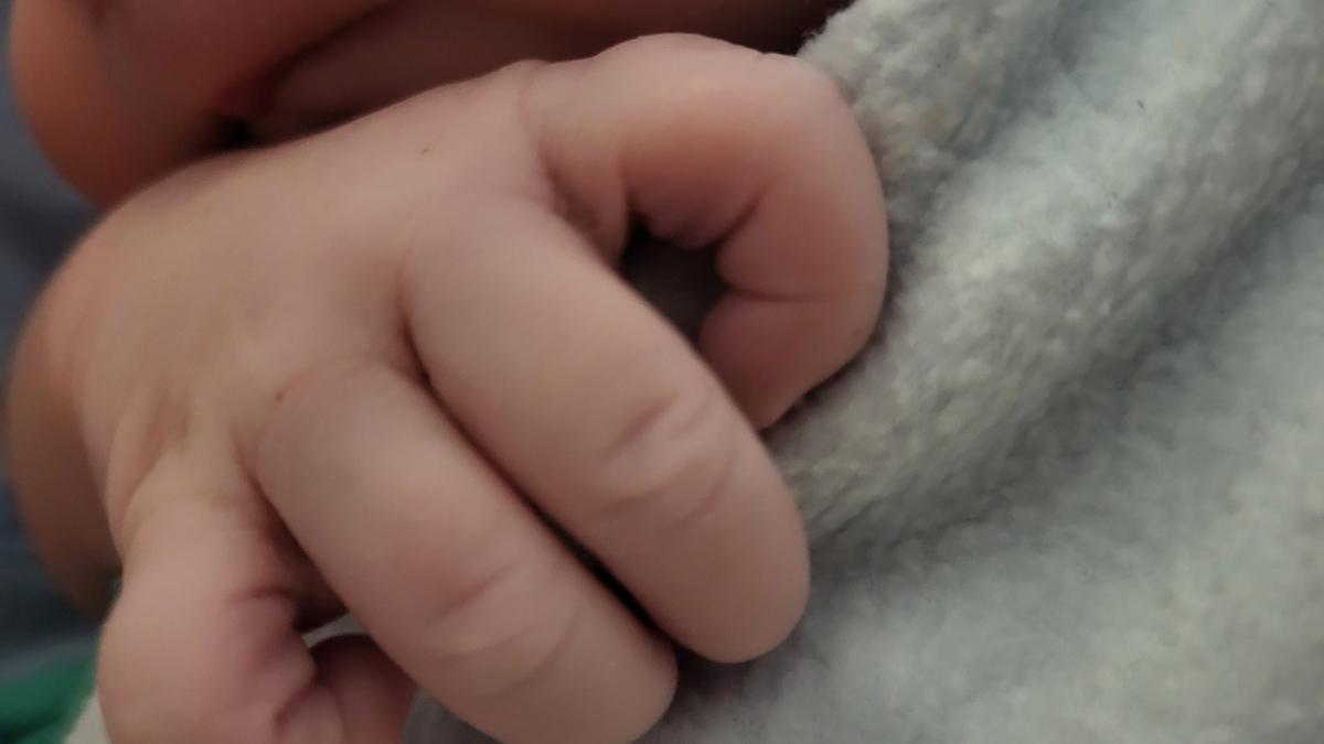 Imagen de uno de los recientes nacimientos.