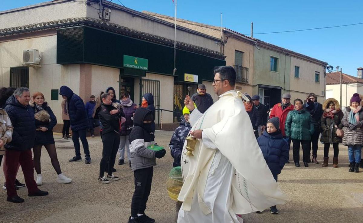 Un san Antón airoso protege a los animales